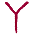 Y